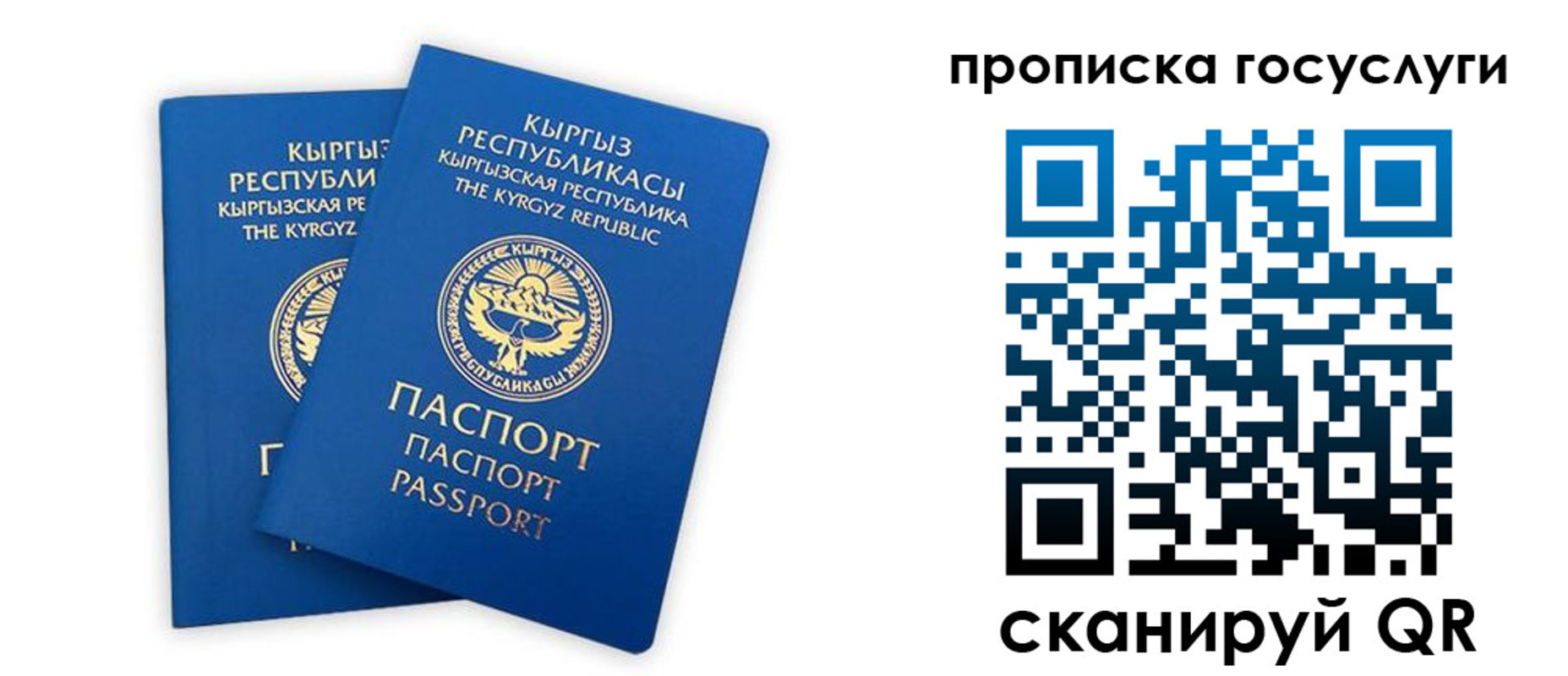 временная регистрация госуслуги в Большом Камне